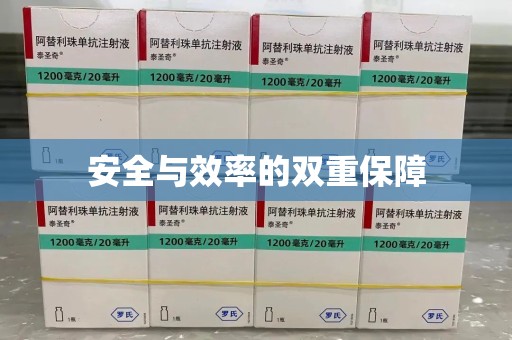 上海安全与效率的双重保障