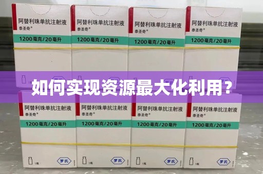 上海如何实现资源最大化利用？