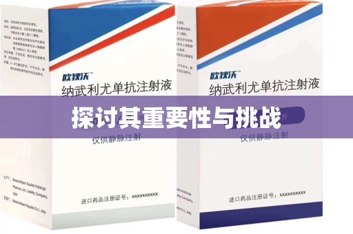 上海探讨其重要性与挑战