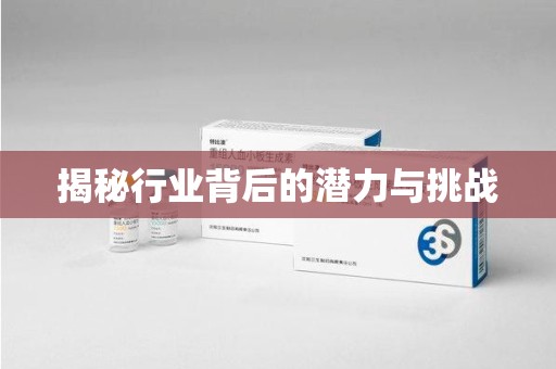 上海揭秘行业背后的潜力与挑战