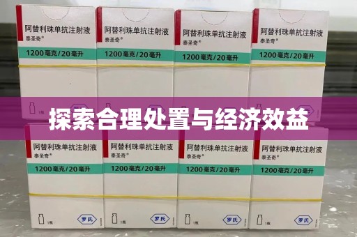 上海探索合理处置与经济效益
