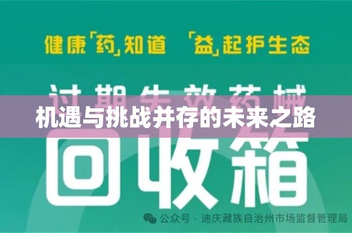 上海机遇与挑战并存的未来之路