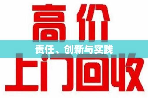 上海责任、创新与实践