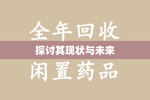 上海探讨其现状与未来
