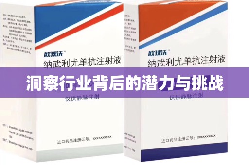 上海洞察行业背后的潜力与挑战
