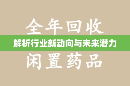 上海解析行业新动向与未来潜力