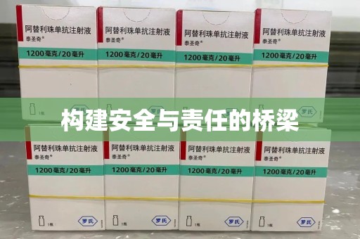 上海构建安全与责任的桥梁