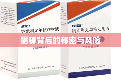 上海揭秘背后的秘密与风险