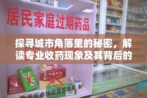 上海探寻城市角落里的秘密，解读专业收药现象及其背后的故事
