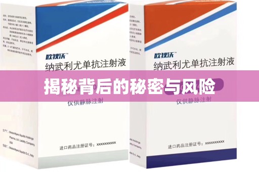 上海揭秘背后的秘密与风险